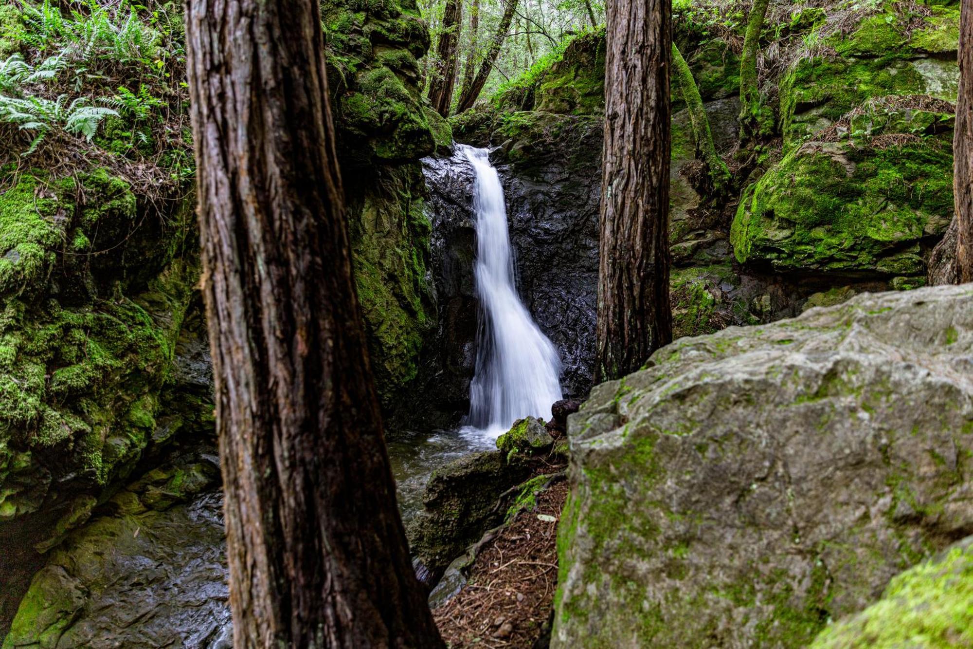Enchanted Waterfall Sanctuary Mill Valley Extérieur photo