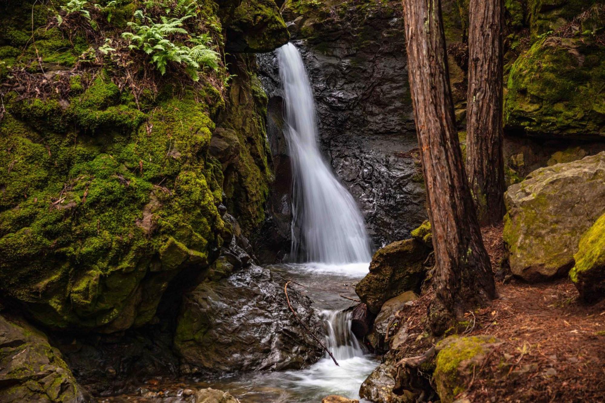 Enchanted Waterfall Sanctuary Mill Valley Extérieur photo
